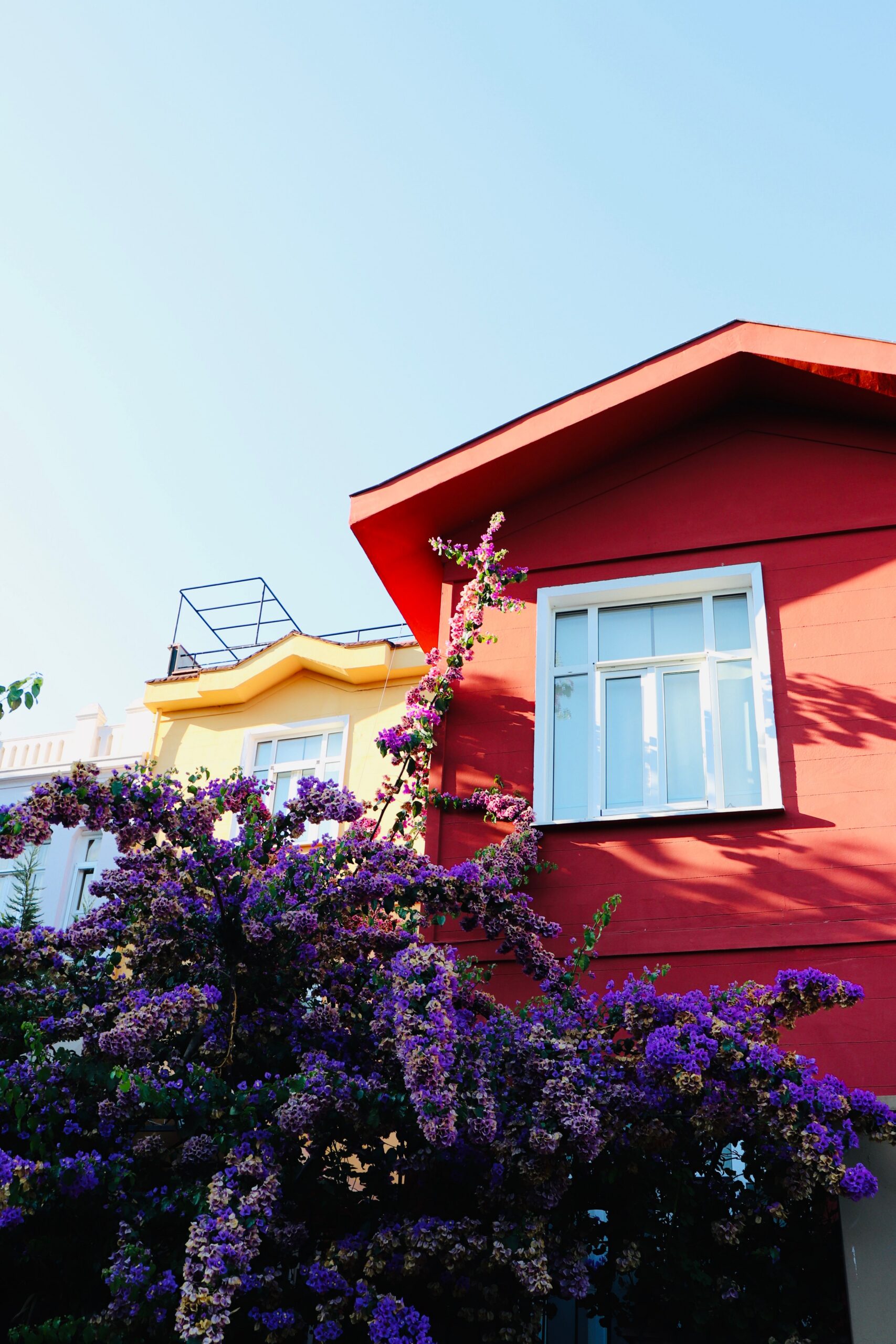 Exterior house painting in two tones, bright red and yellow